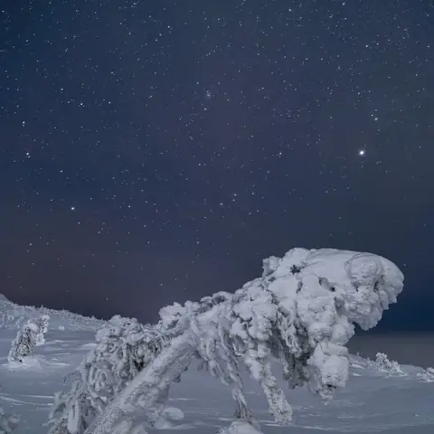 DSCF0503