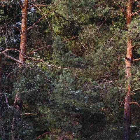 DSCF2284
